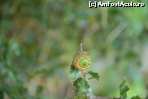 [P25] Mai sunteti acolo?  » foto by marmin
 - 
<span class="allrVoted glyphicon glyphicon-heart hidden" id="av560715"></span>
<a class="m-l-10 hidden" id="sv560715" onclick="voting_Foto_DelVot(,560715,12630)" role="button">șterge vot <span class="glyphicon glyphicon-remove"></span></a>
<a id="v9560715" class=" c-red"  onclick="voting_Foto_SetVot(560715)" role="button"><span class="glyphicon glyphicon-heart-empty"></span> <b>LIKE</b> = Votează poza</a> <img class="hidden"  id="f560715W9" src="/imagini/loader.gif" border="0" /><span class="AjErrMes hidden" id="e560715ErM"></span>