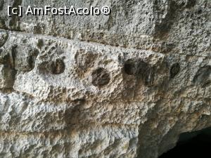 [P69] Structura feliilor de munte; chestiile acelea rotunde mai închise la culoare cică sunt naturale, așa a zis George » foto by crismis
 - 
<span class="allrVoted glyphicon glyphicon-heart hidden" id="av909676"></span>
<a class="m-l-10 hidden" id="sv909676" onclick="voting_Foto_DelVot(,909676,12630)" role="button">șterge vot <span class="glyphicon glyphicon-remove"></span></a>
<a id="v9909676" class=" c-red"  onclick="voting_Foto_SetVot(909676)" role="button"><span class="glyphicon glyphicon-heart-empty"></span> <b>LIKE</b> = Votează poza</a> <img class="hidden"  id="f909676W9" src="/imagini/loader.gif" border="0" /><span class="AjErrMes hidden" id="e909676ErM"></span>