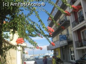 [P01] Zante-city, orasul florilor si al culorilor » foto by dorgo
 - 
<span class="allrVoted glyphicon glyphicon-heart hidden" id="av1046989"></span>
<a class="m-l-10 hidden" id="sv1046989" onclick="voting_Foto_DelVot(,1046989,12676)" role="button">șterge vot <span class="glyphicon glyphicon-remove"></span></a>
<a id="v91046989" class=" c-red"  onclick="voting_Foto_SetVot(1046989)" role="button"><span class="glyphicon glyphicon-heart-empty"></span> <b>LIKE</b> = Votează poza</a> <img class="hidden"  id="f1046989W9" src="/imagini/loader.gif" border="0" /><span class="AjErrMes hidden" id="e1046989ErM"></span>