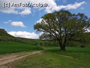 [P03] Aproape de intrarea pe traseul marcat Cozluk. » foto by Floryn81
 - 
<span class="allrVoted glyphicon glyphicon-heart hidden" id="av1224634"></span>
<a class="m-l-10 hidden" id="sv1224634" onclick="voting_Foto_DelVot(,1224634,12680)" role="button">șterge vot <span class="glyphicon glyphicon-remove"></span></a>
<a id="v91224634" class=" c-red"  onclick="voting_Foto_SetVot(1224634)" role="button"><span class="glyphicon glyphicon-heart-empty"></span> <b>LIKE</b> = Votează poza</a> <img class="hidden"  id="f1224634W9" src="/imagini/loader.gif" border="0" /><span class="AjErrMes hidden" id="e1224634ErM"></span>