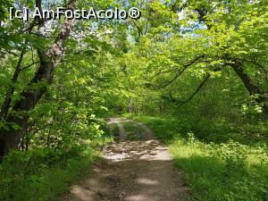 [P05] Prin pădure, la pas pe traseul Cozluk. » foto by Floryn81
 - 
<span class="allrVoted glyphicon glyphicon-heart hidden" id="av1224636"></span>
<a class="m-l-10 hidden" id="sv1224636" onclick="voting_Foto_DelVot(,1224636,12680)" role="button">șterge vot <span class="glyphicon glyphicon-remove"></span></a>
<a id="v91224636" class=" c-red"  onclick="voting_Foto_SetVot(1224636)" role="button"><span class="glyphicon glyphicon-heart-empty"></span> <b>LIKE</b> = Votează poza</a> <img class="hidden"  id="f1224636W9" src="/imagini/loader.gif" border="0" /><span class="AjErrMes hidden" id="e1224636ErM"></span>