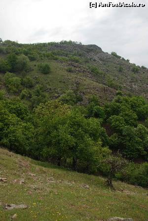 [P25] spre vf Tutuiatu-467 m » foto by Chloe
 - 
<span class="allrVoted glyphicon glyphicon-heart hidden" id="av615094"></span>
<a class="m-l-10 hidden" id="sv615094" onclick="voting_Foto_DelVot(,615094,12680)" role="button">șterge vot <span class="glyphicon glyphicon-remove"></span></a>
<a id="v9615094" class=" c-red"  onclick="voting_Foto_SetVot(615094)" role="button"><span class="glyphicon glyphicon-heart-empty"></span> <b>LIKE</b> = Votează poza</a> <img class="hidden"  id="f615094W9" src="/imagini/loader.gif" border="0" /><span class="AjErrMes hidden" id="e615094ErM"></span>