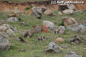 [P29] popandau » foto by Chloe
 - 
<span class="allrVoted glyphicon glyphicon-heart hidden" id="av615098"></span>
<a class="m-l-10 hidden" id="sv615098" onclick="voting_Foto_DelVot(,615098,12680)" role="button">șterge vot <span class="glyphicon glyphicon-remove"></span></a>
<a id="v9615098" class=" c-red"  onclick="voting_Foto_SetVot(615098)" role="button"><span class="glyphicon glyphicon-heart-empty"></span> <b>LIKE</b> = Votează poza</a> <img class="hidden"  id="f615098W9" src="/imagini/loader.gif" border="0" /><span class="AjErrMes hidden" id="e615098ErM"></span>