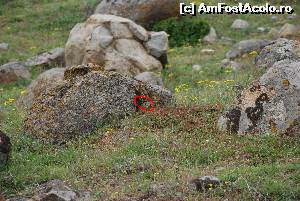 [P30] popandau » foto by Chloe
 - 
<span class="allrVoted glyphicon glyphicon-heart hidden" id="av615099"></span>
<a class="m-l-10 hidden" id="sv615099" onclick="voting_Foto_DelVot(,615099,12680)" role="button">șterge vot <span class="glyphicon glyphicon-remove"></span></a>
<a id="v9615099" class=" c-red"  onclick="voting_Foto_SetVot(615099)" role="button"><span class="glyphicon glyphicon-heart-empty"></span> <b>LIKE</b> = Votează poza</a> <img class="hidden"  id="f615099W9" src="/imagini/loader.gif" border="0" /><span class="AjErrMes hidden" id="e615099ErM"></span>