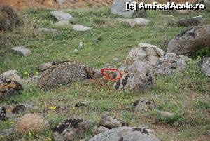 [P32] popandau » foto by Chloe
 - 
<span class="allrVoted glyphicon glyphicon-heart hidden" id="av615101"></span>
<a class="m-l-10 hidden" id="sv615101" onclick="voting_Foto_DelVot(,615101,12680)" role="button">șterge vot <span class="glyphicon glyphicon-remove"></span></a>
<a id="v9615101" class=" c-red"  onclick="voting_Foto_SetVot(615101)" role="button"><span class="glyphicon glyphicon-heart-empty"></span> <b>LIKE</b> = Votează poza</a> <img class="hidden"  id="f615101W9" src="/imagini/loader.gif" border="0" /><span class="AjErrMes hidden" id="e615101ErM"></span>