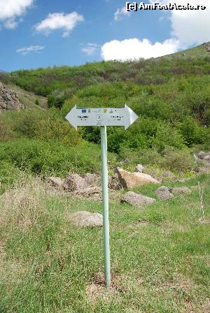 [P36] spre culmea Pricopanului » foto by Chloe
 - 
<span class="allrVoted glyphicon glyphicon-heart hidden" id="av615105"></span>
<a class="m-l-10 hidden" id="sv615105" onclick="voting_Foto_DelVot(,615105,12680)" role="button">șterge vot <span class="glyphicon glyphicon-remove"></span></a>
<a id="v9615105" class=" c-red"  onclick="voting_Foto_SetVot(615105)" role="button"><span class="glyphicon glyphicon-heart-empty"></span> <b>LIKE</b> = Votează poza</a> <img class="hidden"  id="f615105W9" src="/imagini/loader.gif" border="0" /><span class="AjErrMes hidden" id="e615105ErM"></span>