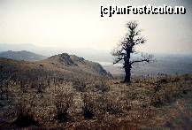 [P16] Vă mai amintiţi de genericul filmului 'Drumul oaselor'? ... Acest arbore desfrunzit apare acolo!...  » foto by Neptunus
 - 
<span class="allrVoted glyphicon glyphicon-heart hidden" id="av474637"></span>
<a class="m-l-10 hidden" id="sv474637" onclick="voting_Foto_DelVot(,474637,12680)" role="button">șterge vot <span class="glyphicon glyphicon-remove"></span></a>
<a id="v9474637" class=" c-red"  onclick="voting_Foto_SetVot(474637)" role="button"><span class="glyphicon glyphicon-heart-empty"></span> <b>LIKE</b> = Votează poza</a> <img class="hidden"  id="f474637W9" src="/imagini/loader.gif" border="0" /><span class="AjErrMes hidden" id="e474637ErM"></span>