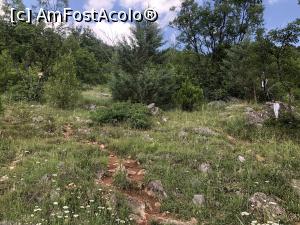 [P71] Starazagorski Bani - frumos dar pustiu » foto by mishu
 - 
<span class="allrVoted glyphicon glyphicon-heart hidden" id="av1306891"></span>
<a class="m-l-10 hidden" id="sv1306891" onclick="voting_Foto_DelVot(,1306891,12753)" role="button">șterge vot <span class="glyphicon glyphicon-remove"></span></a>
<a id="v91306891" class=" c-red"  onclick="voting_Foto_SetVot(1306891)" role="button"><span class="glyphicon glyphicon-heart-empty"></span> <b>LIKE</b> = Votează poza</a> <img class="hidden"  id="f1306891W9" src="/imagini/loader.gif" border="0" /><span class="AjErrMes hidden" id="e1306891ErM"></span>