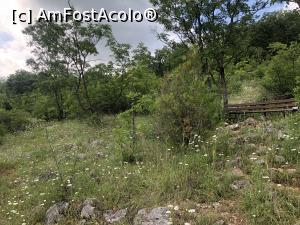 [P72] Starazagorski Bani - frumos dar pustiu » foto by mishu
 - 
<span class="allrVoted glyphicon glyphicon-heart hidden" id="av1306892"></span>
<a class="m-l-10 hidden" id="sv1306892" onclick="voting_Foto_DelVot(,1306892,12753)" role="button">șterge vot <span class="glyphicon glyphicon-remove"></span></a>
<a id="v91306892" class=" c-red"  onclick="voting_Foto_SetVot(1306892)" role="button"><span class="glyphicon glyphicon-heart-empty"></span> <b>LIKE</b> = Votează poza</a> <img class="hidden"  id="f1306892W9" src="/imagini/loader.gif" border="0" /><span class="AjErrMes hidden" id="e1306892ErM"></span>