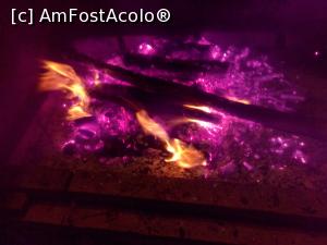 [P10] De ce arde maslinul cu flacara violet???  » foto by relugrigo
 - 
<span class="allrVoted glyphicon glyphicon-heart hidden" id="av925820"></span>
<a class="m-l-10 hidden" id="sv925820" onclick="voting_Foto_DelVot(,925820,12758)" role="button">șterge vot <span class="glyphicon glyphicon-remove"></span></a>
<a id="v9925820" class=" c-red"  onclick="voting_Foto_SetVot(925820)" role="button"><span class="glyphicon glyphicon-heart-empty"></span> <b>LIKE</b> = Votează poza</a> <img class="hidden"  id="f925820W9" src="/imagini/loader.gif" border="0" /><span class="AjErrMes hidden" id="e925820ErM"></span>