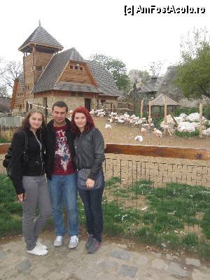 [P14] vreau și eu așa o căsuță! voi?  » foto by vanda
 - 
<span class="allrVoted glyphicon glyphicon-heart hidden" id="av367880"></span>
<a class="m-l-10 hidden" id="sv367880" onclick="voting_Foto_DelVot(,367880,12774)" role="button">șterge vot <span class="glyphicon glyphicon-remove"></span></a>
<a id="v9367880" class=" c-red"  onclick="voting_Foto_SetVot(367880)" role="button"><span class="glyphicon glyphicon-heart-empty"></span> <b>LIKE</b> = Votează poza</a> <img class="hidden"  id="f367880W9" src="/imagini/loader.gif" border="0" /><span class="AjErrMes hidden" id="e367880ErM"></span>