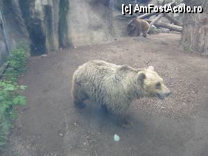 [P55]  -- <small>// FĂRĂ DESCRIERE</small> » foto by vanda
 - 
<span class="allrVoted glyphicon glyphicon-heart hidden" id="av367923"></span>
<a class="m-l-10 hidden" id="sv367923" onclick="voting_Foto_DelVot(,367923,12774)" role="button">șterge vot <span class="glyphicon glyphicon-remove"></span></a>
<a id="v9367923" class=" c-red"  onclick="voting_Foto_SetVot(367923)" role="button"><span class="glyphicon glyphicon-heart-empty"></span> <b>LIKE</b> = Votează poza</a> <img class="hidden"  id="f367923W9" src="/imagini/loader.gif" border="0" /><span class="AjErrMes hidden" id="e367923ErM"></span>
