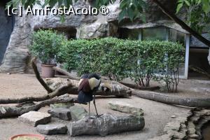 [P17]  -- <small>// FĂRĂ DESCRIERE</small> » foto by mont
 - 
<span class="allrVoted glyphicon glyphicon-heart hidden" id="av1511765"></span>
<a class="m-l-10 hidden" id="sv1511765" onclick="voting_Foto_DelVot(,1511765,12774)" role="button">șterge vot <span class="glyphicon glyphicon-remove"></span></a>
<a id="v91511765" class=" c-red"  onclick="voting_Foto_SetVot(1511765)" role="button"><span class="glyphicon glyphicon-heart-empty"></span> <b>LIKE</b> = Votează poza</a> <img class="hidden"  id="f1511765W9" src="/imagini/loader.gif" border="0" /><span class="AjErrMes hidden" id="e1511765ErM"></span>