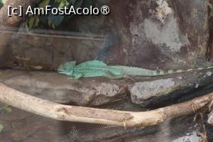 [P19]  -- <small>// FĂRĂ DESCRIERE</small> » foto by mont
 - 
<span class="allrVoted glyphicon glyphicon-heart hidden" id="av1511767"></span>
<a class="m-l-10 hidden" id="sv1511767" onclick="voting_Foto_DelVot(,1511767,12774)" role="button">șterge vot <span class="glyphicon glyphicon-remove"></span></a>
<a id="v91511767" class=" c-red"  onclick="voting_Foto_SetVot(1511767)" role="button"><span class="glyphicon glyphicon-heart-empty"></span> <b>LIKE</b> = Votează poza</a> <img class="hidden"  id="f1511767W9" src="/imagini/loader.gif" border="0" /><span class="AjErrMes hidden" id="e1511767ErM"></span>