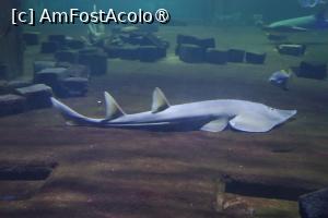 [P30]  -- <small>// FĂRĂ DESCRIERE</small> » foto by mont
 - 
<span class="allrVoted glyphicon glyphicon-heart hidden" id="av1511778"></span>
<a class="m-l-10 hidden" id="sv1511778" onclick="voting_Foto_DelVot(,1511778,12774)" role="button">șterge vot <span class="glyphicon glyphicon-remove"></span></a>
<a id="v91511778" class=" c-red"  onclick="voting_Foto_SetVot(1511778)" role="button"><span class="glyphicon glyphicon-heart-empty"></span> <b>LIKE</b> = Votează poza</a> <img class="hidden"  id="f1511778W9" src="/imagini/loader.gif" border="0" /><span class="AjErrMes hidden" id="e1511778ErM"></span>