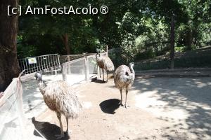 [P37]  -- <small>// FĂRĂ DESCRIERE</small> » foto by mont
 - 
<span class="allrVoted glyphicon glyphicon-heart hidden" id="av1511785"></span>
<a class="m-l-10 hidden" id="sv1511785" onclick="voting_Foto_DelVot(,1511785,12774)" role="button">șterge vot <span class="glyphicon glyphicon-remove"></span></a>
<a id="v91511785" class=" c-red"  onclick="voting_Foto_SetVot(1511785)" role="button"><span class="glyphicon glyphicon-heart-empty"></span> <b>LIKE</b> = Votează poza</a> <img class="hidden"  id="f1511785W9" src="/imagini/loader.gif" border="0" /><span class="AjErrMes hidden" id="e1511785ErM"></span>