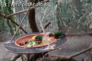 [P38]  -- <small>// FĂRĂ DESCRIERE</small> » foto by mont
 - 
<span class="allrVoted glyphicon glyphicon-heart hidden" id="av1511786"></span>
<a class="m-l-10 hidden" id="sv1511786" onclick="voting_Foto_DelVot(,1511786,12774)" role="button">șterge vot <span class="glyphicon glyphicon-remove"></span></a>
<a id="v91511786" class=" c-red"  onclick="voting_Foto_SetVot(1511786)" role="button"><span class="glyphicon glyphicon-heart-empty"></span> <b>LIKE</b> = Votează poza</a> <img class="hidden"  id="f1511786W9" src="/imagini/loader.gif" border="0" /><span class="AjErrMes hidden" id="e1511786ErM"></span>