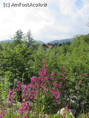 P15 [JUN-2016] Pensiunea Belmonte în mijlocul naturii. 