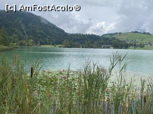 [P42] Thiersee - si niste nuferi » foto by mishu
 - 
<span class="allrVoted glyphicon glyphicon-heart hidden" id="av1329957"></span>
<a class="m-l-10 hidden" id="sv1329957" onclick="voting_Foto_DelVot(,1329957,12814)" role="button">șterge vot <span class="glyphicon glyphicon-remove"></span></a>
<a id="v91329957" class=" c-red"  onclick="voting_Foto_SetVot(1329957)" role="button"><span class="glyphicon glyphicon-heart-empty"></span> <b>LIKE</b> = Votează poza</a> <img class="hidden"  id="f1329957W9" src="/imagini/loader.gif" border="0" /><span class="AjErrMes hidden" id="e1329957ErM"></span>