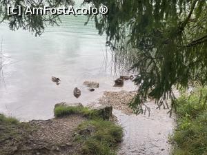 [P45] Thiersee - si cateva ratuste » foto by mishu
 - 
<span class="allrVoted glyphicon glyphicon-heart hidden" id="av1329960"></span>
<a class="m-l-10 hidden" id="sv1329960" onclick="voting_Foto_DelVot(,1329960,12814)" role="button">șterge vot <span class="glyphicon glyphicon-remove"></span></a>
<a id="v91329960" class=" c-red"  onclick="voting_Foto_SetVot(1329960)" role="button"><span class="glyphicon glyphicon-heart-empty"></span> <b>LIKE</b> = Votează poza</a> <img class="hidden"  id="f1329960W9" src="/imagini/loader.gif" border="0" /><span class="AjErrMes hidden" id="e1329960ErM"></span>