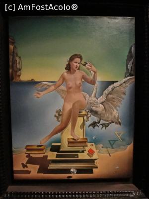 [P13] Leda atomică, un tablou în care totul plutește, nimic nu e fix » foto by RoxanaGRS
 - 
<span class="allrVoted glyphicon glyphicon-heart hidden" id="av968641"></span>
<a class="m-l-10 hidden" id="sv968641" onclick="voting_Foto_DelVot(,968641,12859)" role="button">șterge vot <span class="glyphicon glyphicon-remove"></span></a>
<a id="v9968641" class=" c-red"  onclick="voting_Foto_SetVot(968641)" role="button"><span class="glyphicon glyphicon-heart-empty"></span> <b>LIKE</b> = Votează poza</a> <img class="hidden"  id="f968641W9" src="/imagini/loader.gif" border="0" /><span class="AjErrMes hidden" id="e968641ErM"></span>