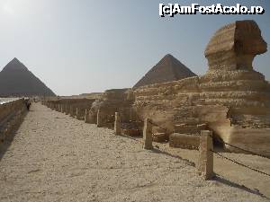 [P39] Cairo - Sfinxul » foto by alexms
 - 
<span class="allrVoted glyphicon glyphicon-heart hidden" id="av702972"></span>
<a class="m-l-10 hidden" id="sv702972" onclick="voting_Foto_DelVot(,702972,12877)" role="button">șterge vot <span class="glyphicon glyphicon-remove"></span></a>
<a id="v9702972" class=" c-red"  onclick="voting_Foto_SetVot(702972)" role="button"><span class="glyphicon glyphicon-heart-empty"></span> <b>LIKE</b> = Votează poza</a> <img class="hidden"  id="f702972W9" src="/imagini/loader.gif" border="0" /><span class="AjErrMes hidden" id="e702972ErM"></span>