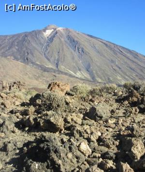 [P36] Vulcanul Teide » foto by Michi
 - 
<span class="allrVoted glyphicon glyphicon-heart hidden" id="av1228567"></span>
<a class="m-l-10 hidden" id="sv1228567" onclick="voting_Foto_DelVot(,1228567,12926)" role="button">șterge vot <span class="glyphicon glyphicon-remove"></span></a>
<a id="v91228567" class=" c-red"  onclick="voting_Foto_SetVot(1228567)" role="button"><span class="glyphicon glyphicon-heart-empty"></span> <b>LIKE</b> = Votează poza</a> <img class="hidden"  id="f1228567W9" src="/imagini/loader.gif" border="0" /><span class="AjErrMes hidden" id="e1228567ErM"></span>