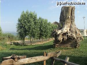 [P02] Aceasta este radacina imensa a unui pom adusa de patronul complexului, in scorbura caruia se zice ca faimosul talhar Terente isi facuse ascunzatoarea, atunci cand era cautat de potera. » foto by vega06
 - 
<span class="allrVoted glyphicon glyphicon-heart hidden" id="av566624"></span>
<a class="m-l-10 hidden" id="sv566624" onclick="voting_Foto_DelVot(,566624,12935)" role="button">șterge vot <span class="glyphicon glyphicon-remove"></span></a>
<a id="v9566624" class=" c-red"  onclick="voting_Foto_SetVot(566624)" role="button"><span class="glyphicon glyphicon-heart-empty"></span> <b>LIKE</b> = Votează poza</a> <img class="hidden"  id="f566624W9" src="/imagini/loader.gif" border="0" /><span class="AjErrMes hidden" id="e566624ErM"></span>