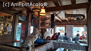 [P32] prin Restaurant - la Fuschertörl -2.430 m altitudine » foto by k-lator
 - 
<span class="allrVoted glyphicon glyphicon-heart hidden" id="av1348963"></span>
<a class="m-l-10 hidden" id="sv1348963" onclick="voting_Foto_DelVot(,1348963,12945)" role="button">șterge vot <span class="glyphicon glyphicon-remove"></span></a>
<a id="v91348963" class=" c-red"  onclick="voting_Foto_SetVot(1348963)" role="button"><span class="glyphicon glyphicon-heart-empty"></span> <b>LIKE</b> = Votează poza</a> <img class="hidden"  id="f1348963W9" src="/imagini/loader.gif" border="0" /><span class="AjErrMes hidden" id="e1348963ErM"></span>