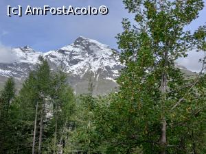 [P21] Șoseaua Alpină Grossglockner » foto by Mika
 - 
<span class="allrVoted glyphicon glyphicon-heart hidden" id="av1284174"></span>
<a class="m-l-10 hidden" id="sv1284174" onclick="voting_Foto_DelVot(,1284174,12945)" role="button">șterge vot <span class="glyphicon glyphicon-remove"></span></a>
<a id="v91284174" class=" c-red"  onclick="voting_Foto_SetVot(1284174)" role="button"><span class="glyphicon glyphicon-heart-empty"></span> <b>LIKE</b> = Votează poza</a> <img class="hidden"  id="f1284174W9" src="/imagini/loader.gif" border="0" /><span class="AjErrMes hidden" id="e1284174ErM"></span>