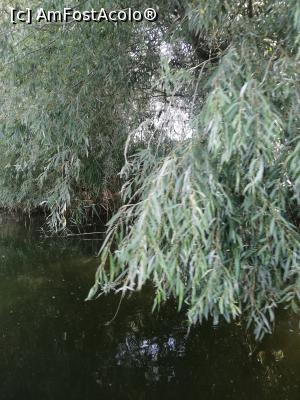 [P05] Unul dintre canale » foto by fb121976
 - 
<span class="allrVoted glyphicon glyphicon-heart hidden" id="av1246691"></span>
<a class="m-l-10 hidden" id="sv1246691" onclick="voting_Foto_DelVot(,1246691,12974)" role="button">șterge vot <span class="glyphicon glyphicon-remove"></span></a>
<a id="v91246691" class=" c-red"  onclick="voting_Foto_SetVot(1246691)" role="button"><span class="glyphicon glyphicon-heart-empty"></span> <b>LIKE</b> = Votează poza</a> <img class="hidden"  id="f1246691W9" src="/imagini/loader.gif" border="0" /><span class="AjErrMes hidden" id="e1246691ErM"></span>