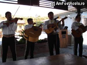 [P02] Un spectacol cu Mariachi la taverna unde am servit pranzul. Parca eram in mexic » foto by andreea_c
 - 
<span class="allrVoted glyphicon glyphicon-heart hidden" id="av376624"></span>
<a class="m-l-10 hidden" id="sv376624" onclick="voting_Foto_DelVot(,376624,12988)" role="button">șterge vot <span class="glyphicon glyphicon-remove"></span></a>
<a id="v9376624" class=" c-red"  onclick="voting_Foto_SetVot(376624)" role="button"><span class="glyphicon glyphicon-heart-empty"></span> <b>LIKE</b> = Votează poza</a> <img class="hidden"  id="f376624W9" src="/imagini/loader.gif" border="0" /><span class="AjErrMes hidden" id="e376624ErM"></span>