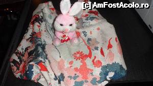 [P01] un iepuras vesel pe masura si gustul meu » foto by amero
 - 
<span class="allrVoted glyphicon glyphicon-heart hidden" id="av503604"></span>
<a class="m-l-10 hidden" id="sv503604" onclick="voting_Foto_DelVot(,503604,13023)" role="button">șterge vot <span class="glyphicon glyphicon-remove"></span></a>
<a id="v9503604" class=" c-red"  onclick="voting_Foto_SetVot(503604)" role="button"><span class="glyphicon glyphicon-heart-empty"></span> <b>LIKE</b> = Votează poza</a> <img class="hidden"  id="f503604W9" src="/imagini/loader.gif" border="0" /><span class="AjErrMes hidden" id="e503604ErM"></span>