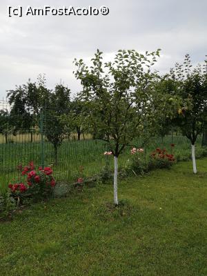 [P17] pomi fructiferi » foto by andreiutasg
 - 
<span class="allrVoted glyphicon glyphicon-heart hidden" id="av1169485"></span>
<a class="m-l-10 hidden" id="sv1169485" onclick="voting_Foto_DelVot(,1169485,13034)" role="button">șterge vot <span class="glyphicon glyphicon-remove"></span></a>
<a id="v91169485" class=" c-red"  onclick="voting_Foto_SetVot(1169485)" role="button"><span class="glyphicon glyphicon-heart-empty"></span> <b>LIKE</b> = Votează poza</a> <img class="hidden"  id="f1169485W9" src="/imagini/loader.gif" border="0" /><span class="AjErrMes hidden" id="e1169485ErM"></span>