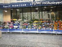 [P05] Floraria Monceau de la una din intrarile din mall » foto by bogdan 75
 - 
<span class="allrVoted glyphicon glyphicon-heart hidden" id="av381556"></span>
<a class="m-l-10 hidden" id="sv381556" onclick="voting_Foto_DelVot(,381556,13113)" role="button">șterge vot <span class="glyphicon glyphicon-remove"></span></a>
<a id="v9381556" class=" c-red"  onclick="voting_Foto_SetVot(381556)" role="button"><span class="glyphicon glyphicon-heart-empty"></span> <b>LIKE</b> = Votează poza</a> <img class="hidden"  id="f381556W9" src="/imagini/loader.gif" border="0" /><span class="AjErrMes hidden" id="e381556ErM"></span>