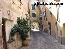 [P24] Giurgiuvele verzi la ferestre- tipic ligurice » foto by Michi
 - 
<span class="allrVoted glyphicon glyphicon-heart hidden" id="av381999"></span>
<a class="m-l-10 hidden" id="sv381999" onclick="voting_Foto_DelVot(,381999,13123)" role="button">șterge vot <span class="glyphicon glyphicon-remove"></span></a>
<a id="v9381999" class=" c-red"  onclick="voting_Foto_SetVot(381999)" role="button"><span class="glyphicon glyphicon-heart-empty"></span> <b>LIKE</b> = Votează poza</a> <img class="hidden"  id="f381999W9" src="/imagini/loader.gif" border="0" /><span class="AjErrMes hidden" id="e381999ErM"></span>