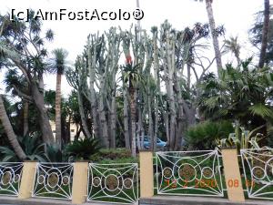 [P20] Cactuşi în preajma hotelului Imperial Tramontano » foto by irinad
 - 
<span class="allrVoted glyphicon glyphicon-heart hidden" id="av1159869"></span>
<a class="m-l-10 hidden" id="sv1159869" onclick="voting_Foto_DelVot(,1159869,13144)" role="button">șterge vot <span class="glyphicon glyphicon-remove"></span></a>
<a id="v91159869" class=" c-red"  onclick="voting_Foto_SetVot(1159869)" role="button"><span class="glyphicon glyphicon-heart-empty"></span> <b>LIKE</b> = Votează poza</a> <img class="hidden"  id="f1159869W9" src="/imagini/loader.gif" border="0" /><span class="AjErrMes hidden" id="e1159869ErM"></span>