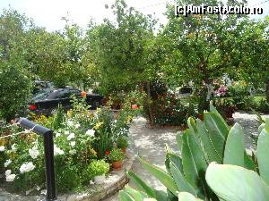 [P06] Asta vedeam de pe terasă în fiecare dimineaţă!  » foto by marocanu21
 - 
<span class="allrVoted glyphicon glyphicon-heart hidden" id="av564679"></span>
<a class="m-l-10 hidden" id="sv564679" onclick="voting_Foto_DelVot(,564679,13156)" role="button">șterge vot <span class="glyphicon glyphicon-remove"></span></a>
<a id="v9564679" class=" c-red"  onclick="voting_Foto_SetVot(564679)" role="button"><span class="glyphicon glyphicon-heart-empty"></span> <b>LIKE</b> = Votează poza</a> <img class="hidden"  id="f564679W9" src="/imagini/loader.gif" border="0" /><span class="AjErrMes hidden" id="e564679ErM"></span>