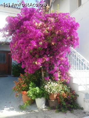 [P15]  -- <small>// FĂRĂ DESCRIERE</small> » foto by sniga
 - 
<span class="allrVoted glyphicon glyphicon-heart hidden" id="av755886"></span>
<a class="m-l-10 hidden" id="sv755886" onclick="voting_Foto_DelVot(,755886,13156)" role="button">șterge vot <span class="glyphicon glyphicon-remove"></span></a>
<a id="v9755886" class=" c-red"  onclick="voting_Foto_SetVot(755886)" role="button"><span class="glyphicon glyphicon-heart-empty"></span> <b>LIKE</b> = Votează poza</a> <img class="hidden"  id="f755886W9" src="/imagini/loader.gif" border="0" /><span class="AjErrMes hidden" id="e755886ErM"></span>