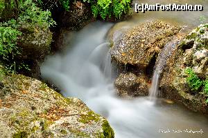 P14 [JUN-2015] O fotografie facuta pe traseul catre cetatea lui Ali Pashelu. 