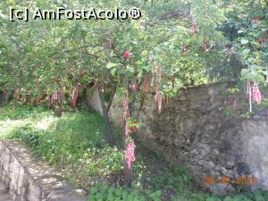 [P14] Arbanasi - Mărțișoare lângă intrarea în Mănăstirea Sfântul Nicolae.  » foto by iulianic
 - 
<span class="allrVoted glyphicon glyphicon-heart hidden" id="av753198"></span>
<a class="m-l-10 hidden" id="sv753198" onclick="voting_Foto_DelVot(,753198,13213)" role="button">șterge vot <span class="glyphicon glyphicon-remove"></span></a>
<a id="v9753198" class=" c-red"  onclick="voting_Foto_SetVot(753198)" role="button"><span class="glyphicon glyphicon-heart-empty"></span> <b>LIKE</b> = Votează poza</a> <img class="hidden"  id="f753198W9" src="/imagini/loader.gif" border="0" /><span class="AjErrMes hidden" id="e753198ErM"></span>