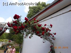 [P21] Arbanasi - Bolți de trandafiri la Mănăstirea Sfântul Nicolae.  » foto by iulianic
 - 
<span class="allrVoted glyphicon glyphicon-heart hidden" id="av753205"></span>
<a class="m-l-10 hidden" id="sv753205" onclick="voting_Foto_DelVot(,753205,13213)" role="button">șterge vot <span class="glyphicon glyphicon-remove"></span></a>
<a id="v9753205" class=" c-red"  onclick="voting_Foto_SetVot(753205)" role="button"><span class="glyphicon glyphicon-heart-empty"></span> <b>LIKE</b> = Votează poza</a> <img class="hidden"  id="f753205W9" src="/imagini/loader.gif" border="0" /><span class="AjErrMes hidden" id="e753205ErM"></span>