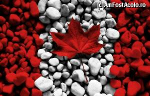 [P13] Canada's Day...  » foto by Bujie
 - 
<span class="allrVoted glyphicon glyphicon-heart hidden" id="av652735"></span>
<a class="m-l-10 hidden" id="sv652735" onclick="voting_Foto_DelVot(,652735,13251)" role="button">șterge vot <span class="glyphicon glyphicon-remove"></span></a>
<a id="v9652735" class=" c-red"  onclick="voting_Foto_SetVot(652735)" role="button"><span class="glyphicon glyphicon-heart-empty"></span> <b>LIKE</b> = Votează poza</a> <img class="hidden"  id="f652735W9" src="/imagini/loader.gif" border="0" /><span class="AjErrMes hidden" id="e652735ErM"></span>