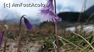 [P13]  -- <small>// FĂRĂ DESCRIERE</small> » foto by noi doi
 - 
<span class="allrVoted glyphicon glyphicon-heart hidden" id="av860673"></span>
<a class="m-l-10 hidden" id="sv860673" onclick="voting_Foto_DelVot(,860673,13472)" role="button">șterge vot <span class="glyphicon glyphicon-remove"></span></a>
<a id="v9860673" class=" c-red"  onclick="voting_Foto_SetVot(860673)" role="button"><span class="glyphicon glyphicon-heart-empty"></span> <b>LIKE</b> = Votează poza</a> <img class="hidden"  id="f860673W9" src="/imagini/loader.gif" border="0" /><span class="AjErrMes hidden" id="e860673ErM"></span>