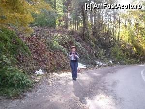 [P03] intre Nusfalau si Suplacu de Barcau erau copaci rupti datorita ploiii care ingheata » foto by marocanu21
 - 
<span class="allrVoted glyphicon glyphicon-heart hidden" id="av415309"></span>
<a class="m-l-10 hidden" id="sv415309" onclick="voting_Foto_DelVot(,415309,13475)" role="button">șterge vot <span class="glyphicon glyphicon-remove"></span></a>
<a id="v9415309" class=" c-red"  onclick="voting_Foto_SetVot(415309)" role="button"><span class="glyphicon glyphicon-heart-empty"></span> <b>LIKE</b> = Votează poza</a> <img class="hidden"  id="f415309W9" src="/imagini/loader.gif" border="0" /><span class="AjErrMes hidden" id="e415309ErM"></span>