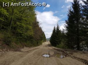 [P15] Localitatea Nereju - finalul drumului DJ 205D. Ne-am plimbat puțin pentru a inspira aerul tare al muntelui. Drumul forestier continuă în condiții proaste pe Valea Zăbalei. » foto by Floryn81
 - 
<span class="allrVoted glyphicon glyphicon-heart hidden" id="av1071520"></span>
<a class="m-l-10 hidden" id="sv1071520" onclick="voting_Foto_DelVot(,1071520,13521)" role="button">șterge vot <span class="glyphicon glyphicon-remove"></span></a>
<a id="v91071520" class=" c-red"  onclick="voting_Foto_SetVot(1071520)" role="button"><span class="glyphicon glyphicon-heart-empty"></span> <b>LIKE</b> = Votează poza</a> <img class="hidden"  id="f1071520W9" src="/imagini/loader.gif" border="0" /><span class="AjErrMes hidden" id="e1071520ErM"></span>