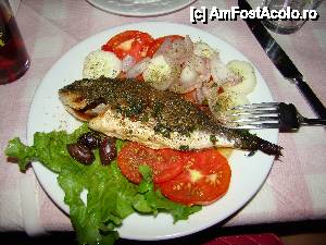 [P05] Taverna Paramithi » foto by Muffin2009*
 - 
<span class="allrVoted glyphicon glyphicon-heart hidden" id="av400532"></span>
<a class="m-l-10 hidden" id="sv400532" onclick="voting_Foto_DelVot(,400532,13618)" role="button">șterge vot <span class="glyphicon glyphicon-remove"></span></a>
<a id="v9400532" class=" c-red"  onclick="voting_Foto_SetVot(400532)" role="button"><span class="glyphicon glyphicon-heart-empty"></span> <b>LIKE</b> = Votează poza</a> <img class="hidden"  id="f400532W9" src="/imagini/loader.gif" border="0" /><span class="AjErrMes hidden" id="e400532ErM"></span>