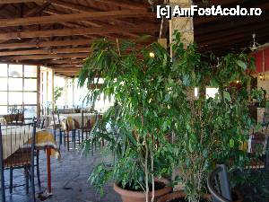 [P08] Taverna Paradisos deschisa la ora pranzului » foto by Muffin2009*
 - 
<span class="allrVoted glyphicon glyphicon-heart hidden" id="av400535"></span>
<a class="m-l-10 hidden" id="sv400535" onclick="voting_Foto_DelVot(,400535,13618)" role="button">șterge vot <span class="glyphicon glyphicon-remove"></span></a>
<a id="v9400535" class=" c-red"  onclick="voting_Foto_SetVot(400535)" role="button"><span class="glyphicon glyphicon-heart-empty"></span> <b>LIKE</b> = Votează poza</a> <img class="hidden"  id="f400535W9" src="/imagini/loader.gif" border="0" /><span class="AjErrMes hidden" id="e400535ErM"></span>