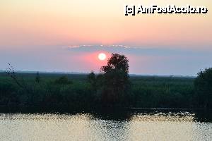 [P13] Apus de soare in Deltă » foto by sosso
 - 
<span class="allrVoted glyphicon glyphicon-heart hidden" id="av401070"></span>
<a class="m-l-10 hidden" id="sv401070" onclick="voting_Foto_DelVot(,401070,13633)" role="button">șterge vot <span class="glyphicon glyphicon-remove"></span></a>
<a id="v9401070" class=" c-red"  onclick="voting_Foto_SetVot(401070)" role="button"><span class="glyphicon glyphicon-heart-empty"></span> <b>LIKE</b> = Votează poza</a> <img class="hidden"  id="f401070W9" src="/imagini/loader.gif" border="0" /><span class="AjErrMes hidden" id="e401070ErM"></span>