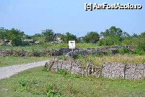 [P17] Letea » foto by sosso
 - 
<span class="allrVoted glyphicon glyphicon-heart hidden" id="av401074"></span>
<a class="m-l-10 hidden" id="sv401074" onclick="voting_Foto_DelVot(,401074,13633)" role="button">șterge vot <span class="glyphicon glyphicon-remove"></span></a>
<a id="v9401074" class=" c-red"  onclick="voting_Foto_SetVot(401074)" role="button"><span class="glyphicon glyphicon-heart-empty"></span> <b>LIKE</b> = Votează poza</a> <img class="hidden"  id="f401074W9" src="/imagini/loader.gif" border="0" /><span class="AjErrMes hidden" id="e401074ErM"></span>